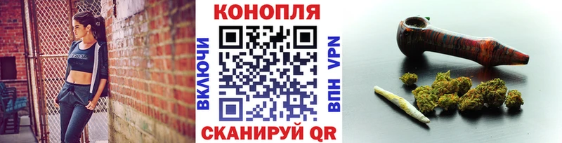 Бошки марихуана конопля Гаврилов Посад